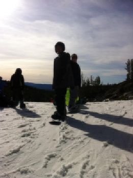 707tractatus profile photo