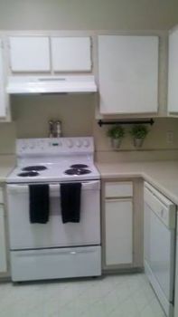 cnrodriguez9 profile photo