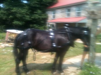 codhner profile photo