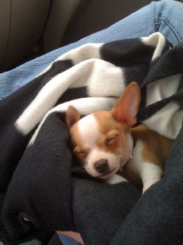 dmiller13 profile photo