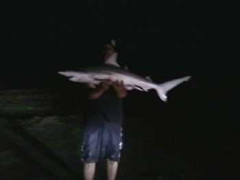 edflores profile photo