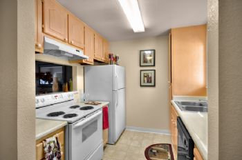 gto2k6 profile photo