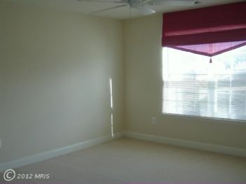 raven123 profile photo