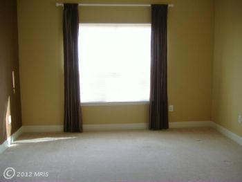 raven123 profile photo