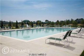 raven123 profile photo