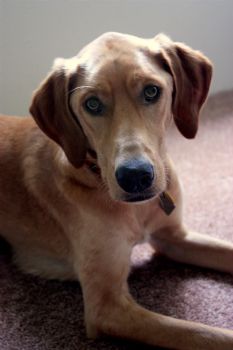 Shazwan profile photo