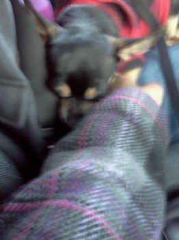 xxpaperbagxx profile photo