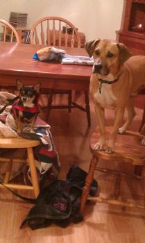 xxpaperbagxx profile photo