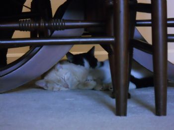 taleigh7 profile photo