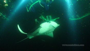 taleigh7 profile photo