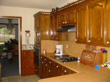 angelfish1 profile photo