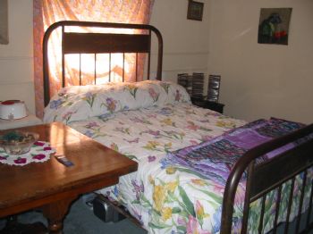 angelfish1 profile photo