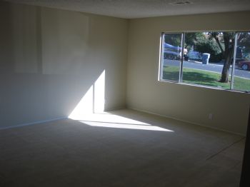 wandawhatley profile photo