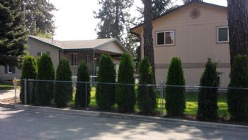 MTNVIEW profile photo