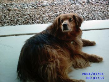 isujaq profile photo