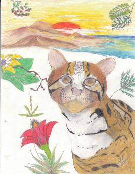 bcbgpro profile photo