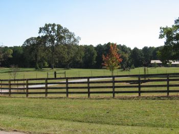 catrin3166 profile photo