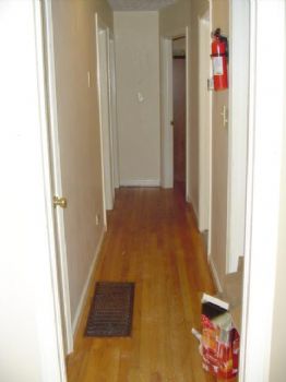 goodbytes profile photo