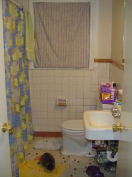 goodbytes profile photo