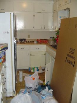 goodbytes profile photo