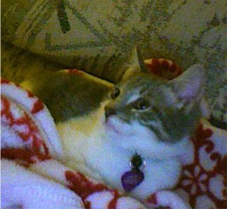 Sifora profile photo