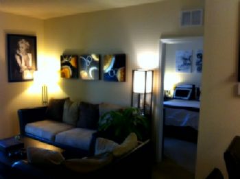 seaturtle777 profile photo