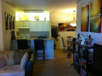 seaturtle777 profile photo