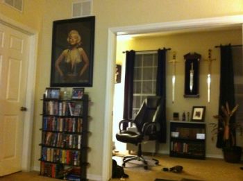 seaturtle777 profile photo