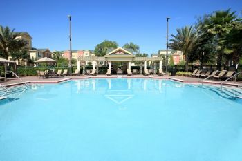 seaturtle777 profile photo