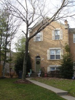 MyleneTauson profile photo