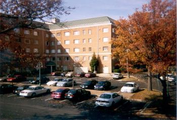 suivanova profile photo