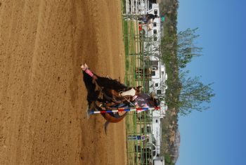 jmagill profile photo