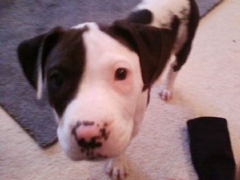 masonmatz profile photo