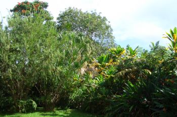 PapaikouRm profile photo