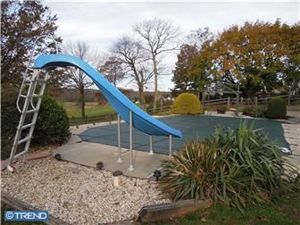 dlpocius@com profile photo