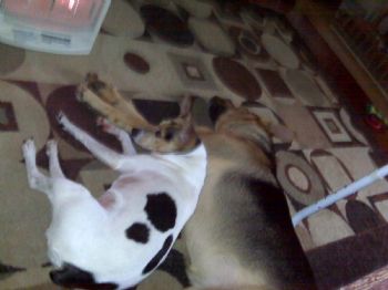 DaisyM profile photo