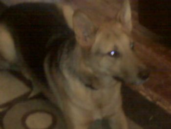 DaisyM profile photo