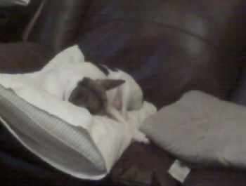 DaisyM profile photo