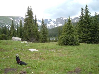 7rothrock profile photo