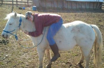 SedKass profile photo