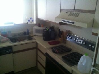 alisha5 profile photo