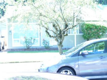 timberluv profile photo