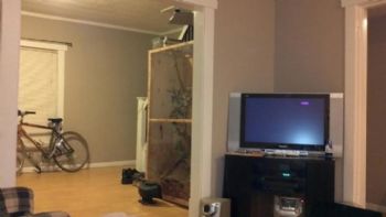 jodilynn121 profile photo