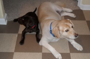 jessica1456 profile photo