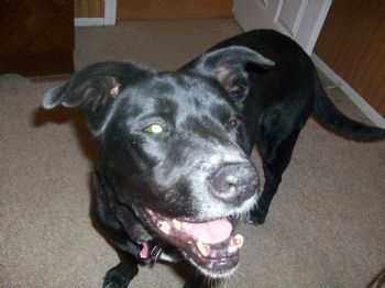 Musicboy424 profile photo