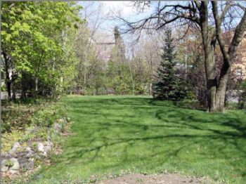 Arcanum profile photo