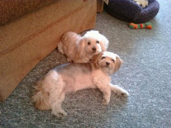 SmilynnSteph profile photo