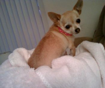 SmilynnSteph profile photo