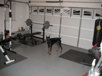 MyDobeStig profile photo