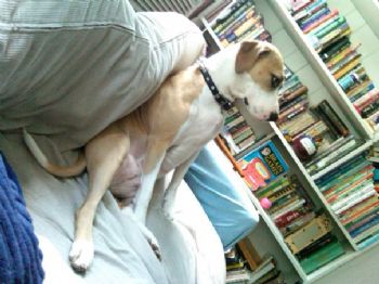 Angela Bill profile photo